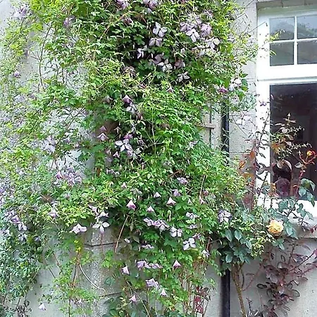 Bed & Breakfast Garrane House Croom