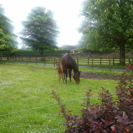 Alojamento de Acomodação e Pequeno-almoço Garrane House