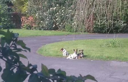 Alojamento de Acomodação e Pequeno-almoço Garrane House