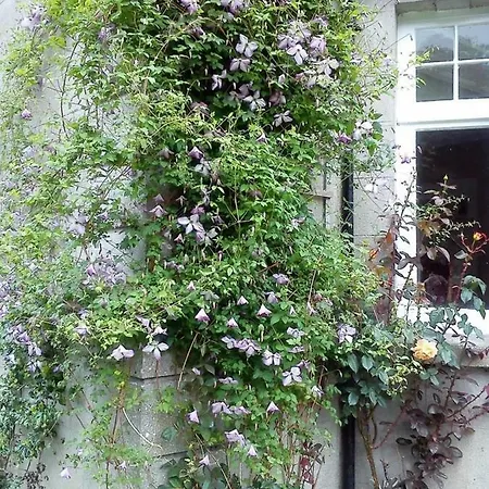 Garrane House Panzió *