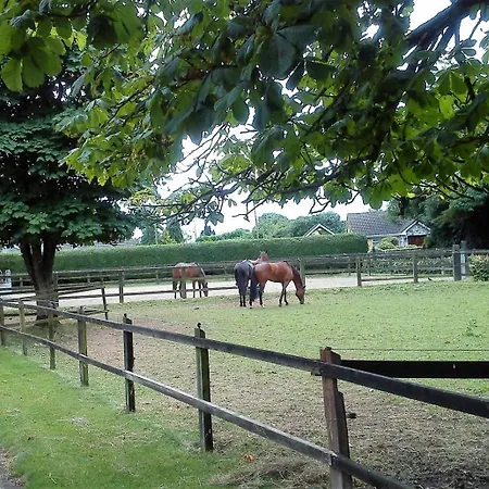 Bed and breakfast Garrane House Croom