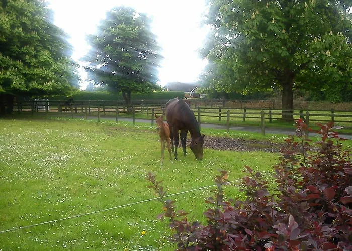 Bed & Breakfast Garrane House