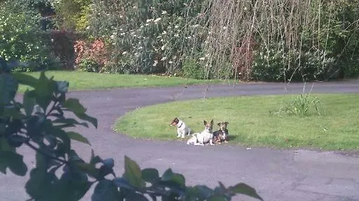 Bed & Breakfast Garrane House