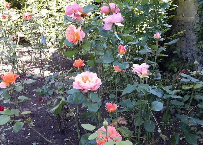 Garrane House 4* Croom