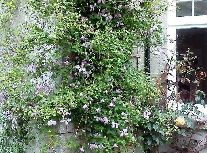 Garrane House Bed & Breakfast 4*