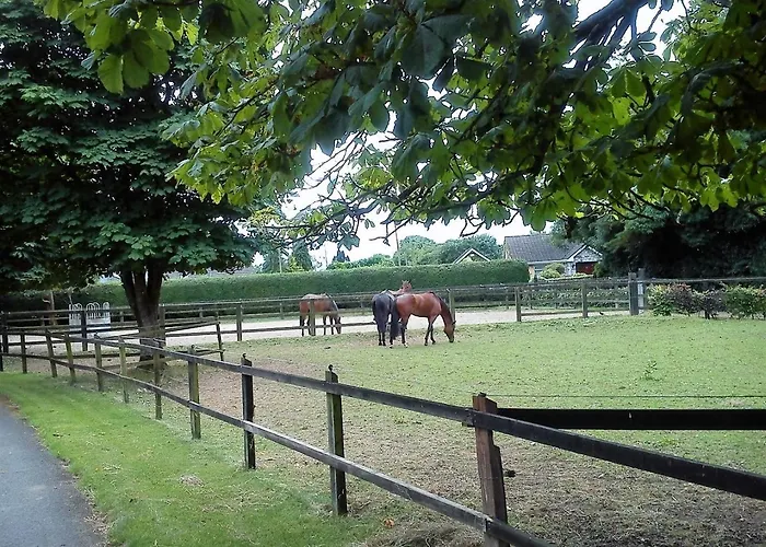 Bed & Breakfast Garrane House Croom